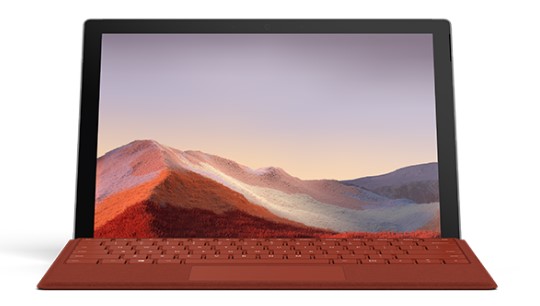 兰山清洁和维护 Surface